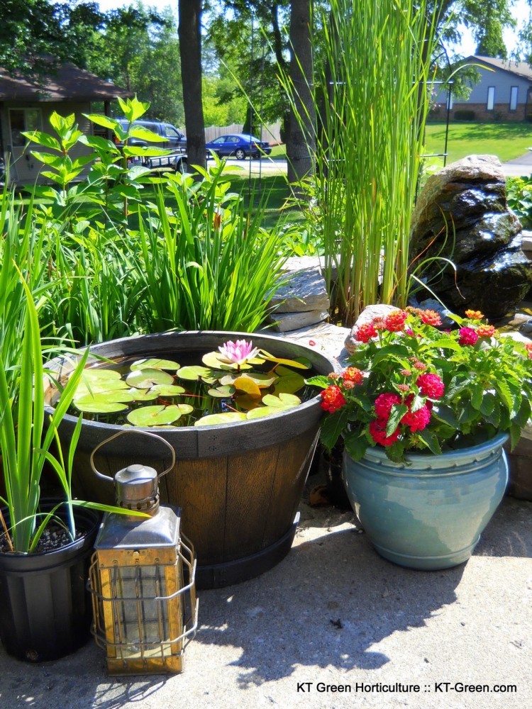 Best Horticulture Plants Best Horticulture Plants